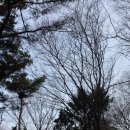 사료 내 잉여질소 감축으로 ①분뇨 악취 저감, ②온실가스 감축,③사료비 절감 등 1석 3조 효과 기대