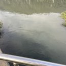 화목맑은물순환센터 족구장 | 김해 화목 뜨신 물 겨울 배스 포인트 화목맑은물순환센터