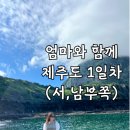 은혜카써비스 | 엄마와 함께 제주도 여행 1일차( 📍 코스 : 애월 은혜전복 → 금오름 → 용머리해안 → 군산오름 → 숙소...