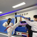 글로벌 태권도장 이미지