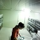 함양톱밥 | 굼벵이농장 열일하는 청년농부의 모습