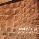 캣스트리트인시부야