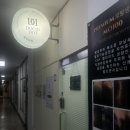 도치도트 탈모 두피케어 속눈썹