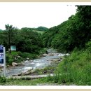 녹색목장 이미지