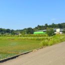 새터농장 이미지