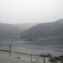 임원해수욕장 Daum카페