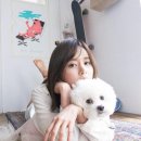엄현 이미지