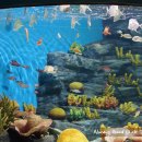 [제주도여행] 제주도아쿠아리움 "아쿠아플라넷제주" 이미지