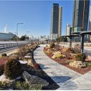 도시상징광장 이미지