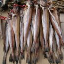 맛있는 코다리 이미지