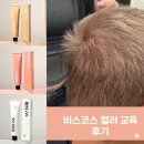 고잔236 | 서울미장원 고잔점 이봄 l 비스코스 염색 교육 후기 &amp; 컬러정리