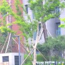 염주약국 이미지