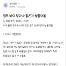 변호사가 쓴 딩크부부의 장점. 이미지