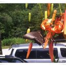 더덜하우스 이미지