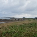 종달해변 이미지