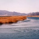과역-2호 Daum카페