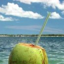코코넛워터 다이어트 활용 칼로리 코코넛밀크 차이점 간단 정리 이미지