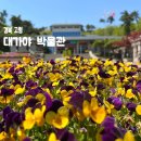 대가야테마관광지 입구 주차장 | 경북 고령여행 대가야박물관 무료관람 20주년 기획특별전 야외전시장 영산홍 동산