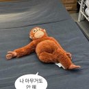 백수의 일기