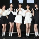 아이브’ 잼버리 콘서트 뒤늦게 출연 결정…문체부 “자발적” 강조 이미지