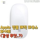 Apple 정품 매직 마우스 화이트 추천(감성 무엇..?)