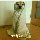 안녕도깨비 이미지