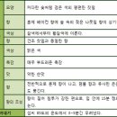 향라푸 이미지