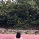 서광리-9 이미지