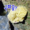 만통(주) 이미지