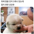 포크80 이미지