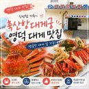 힐링궁 | 영덕 대게맛집 추천, 영덕 현지인 맛집 축산항대게궁 솔직후기