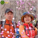 목통산장