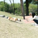와일드민박