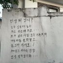 금화안경 | 여름은 동사의 계절