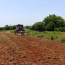 동네농장 이미지