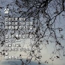 9월23일수요일 출석률은저조하지만? 이미지