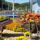 쌍학리 효열각 이미지