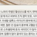 춘천녹즙