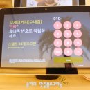 카페티제이