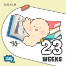 대천즐겨찾기 | 23주 임산부 보령 대천 1박2일 여행 💕 임산부 여행일정