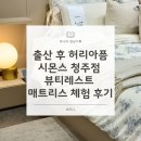 레스트펫 | 출산 후 허리 아픔 시몬스 청주점 뷰티레스트 매트리스 체험 후기