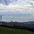 삼양목장 이미지