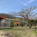 병천초등학교 이미지