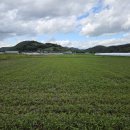 대산면912 이미지