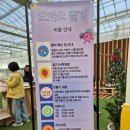 소이농장 Daum카페