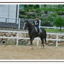 승마펜션 이미지