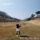 심플앤이지골프 | ⛳ 충주 올데이CC 골프 라운드 후기