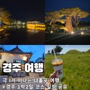 극 I가 떠나는 인생 첫 나혼자 여행 경주 1박 2일 여행코스