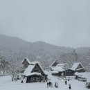 행운비디오1분점 | 나고야 시라카와고 투어 다카야마 일정 점심 맛집 대폭설 온 날씨 내돈내산 후기