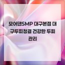 모어댄SMP 이미지